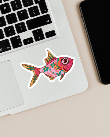 Splendid Alfonsino