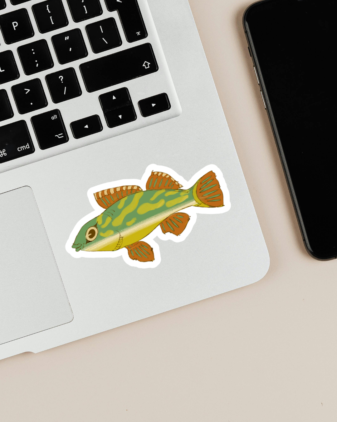 Darter Fish | Sticker
